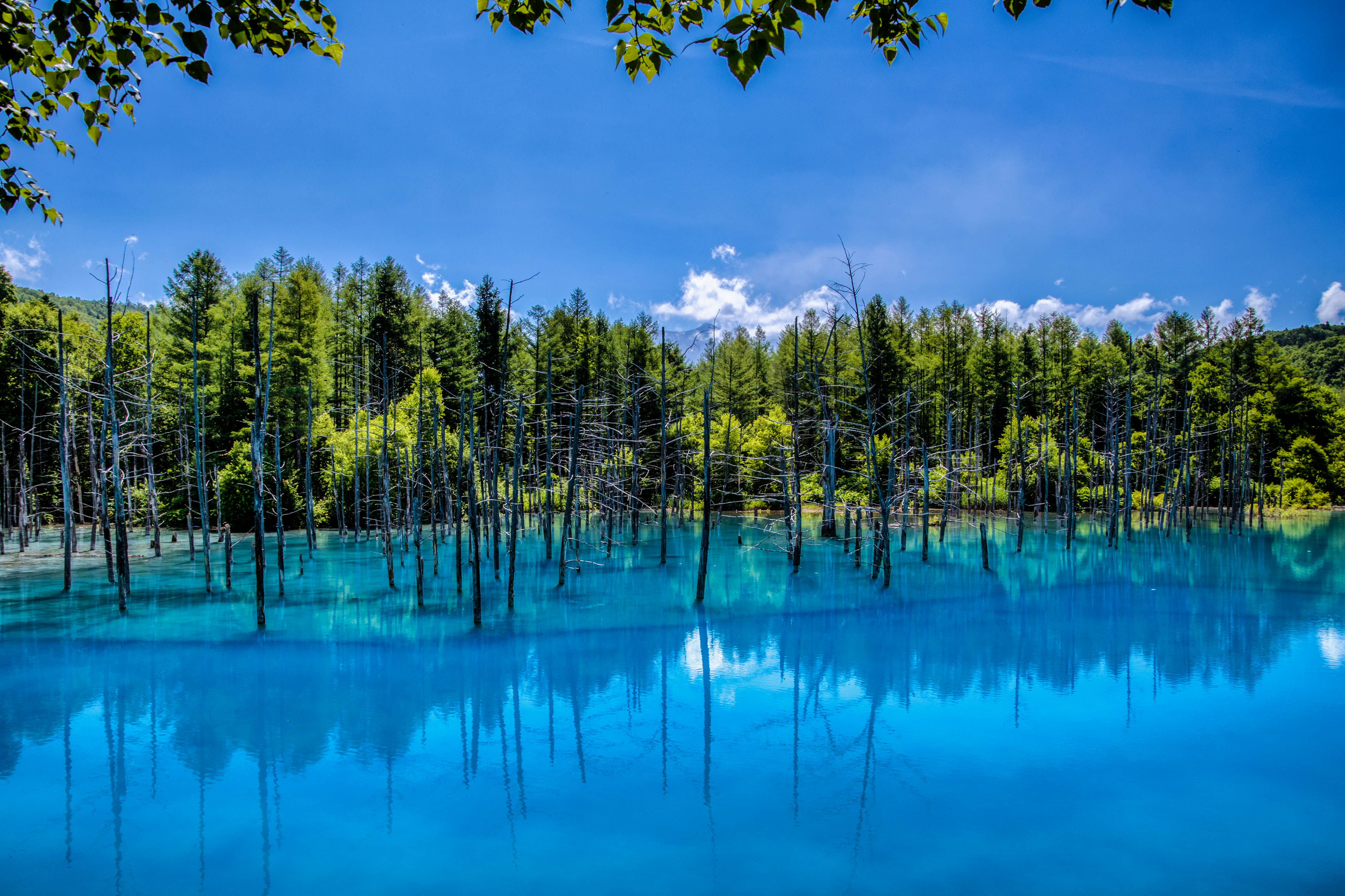 Der Blue Pond in Biei, Japan Urlaubsguru.de