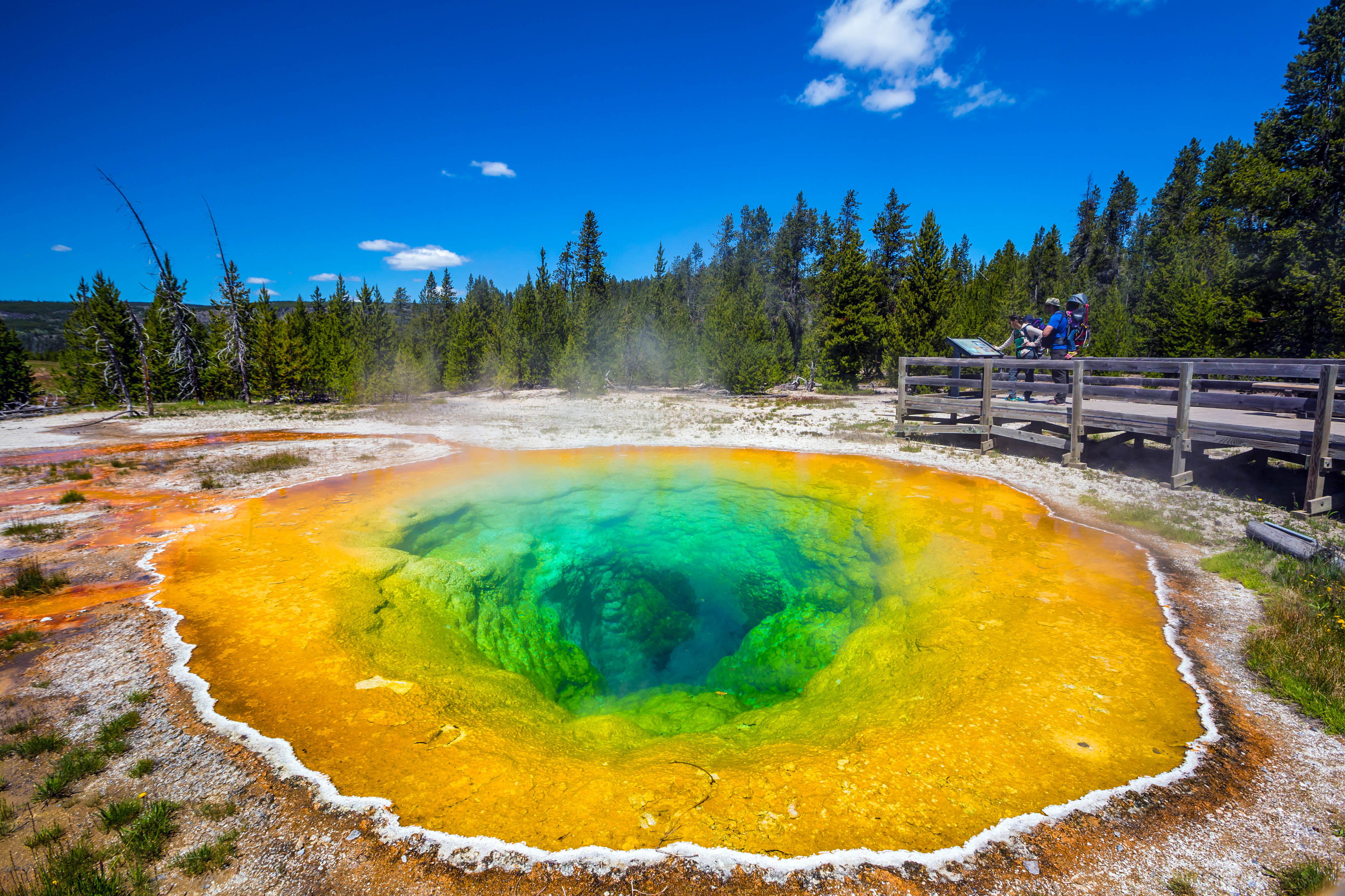 Der Faszinierende Yellowstone Nationalpark Urlaubsguru De