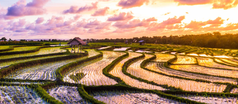 Beste Reisezeit für Bali  Infos zu Klima, Wetter  Regenzeit