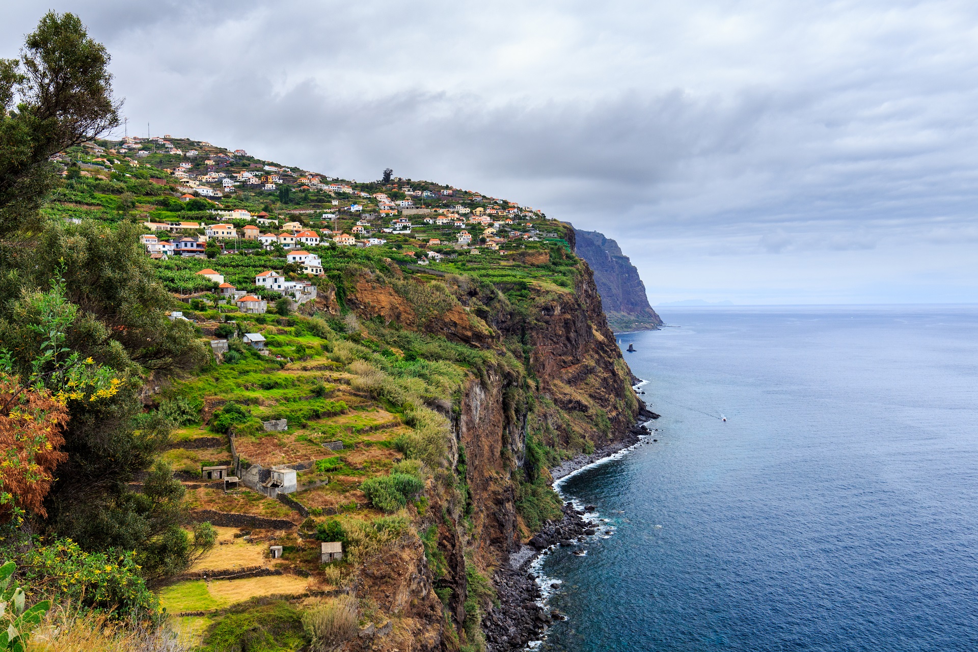 Madeira Tipps Urlaub auf der vielfältigen Blumeninsel Urlaubsguru de