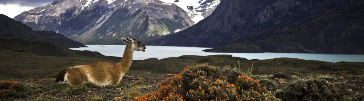  Backpacking in S damerika - von Peru nach Patagonien 