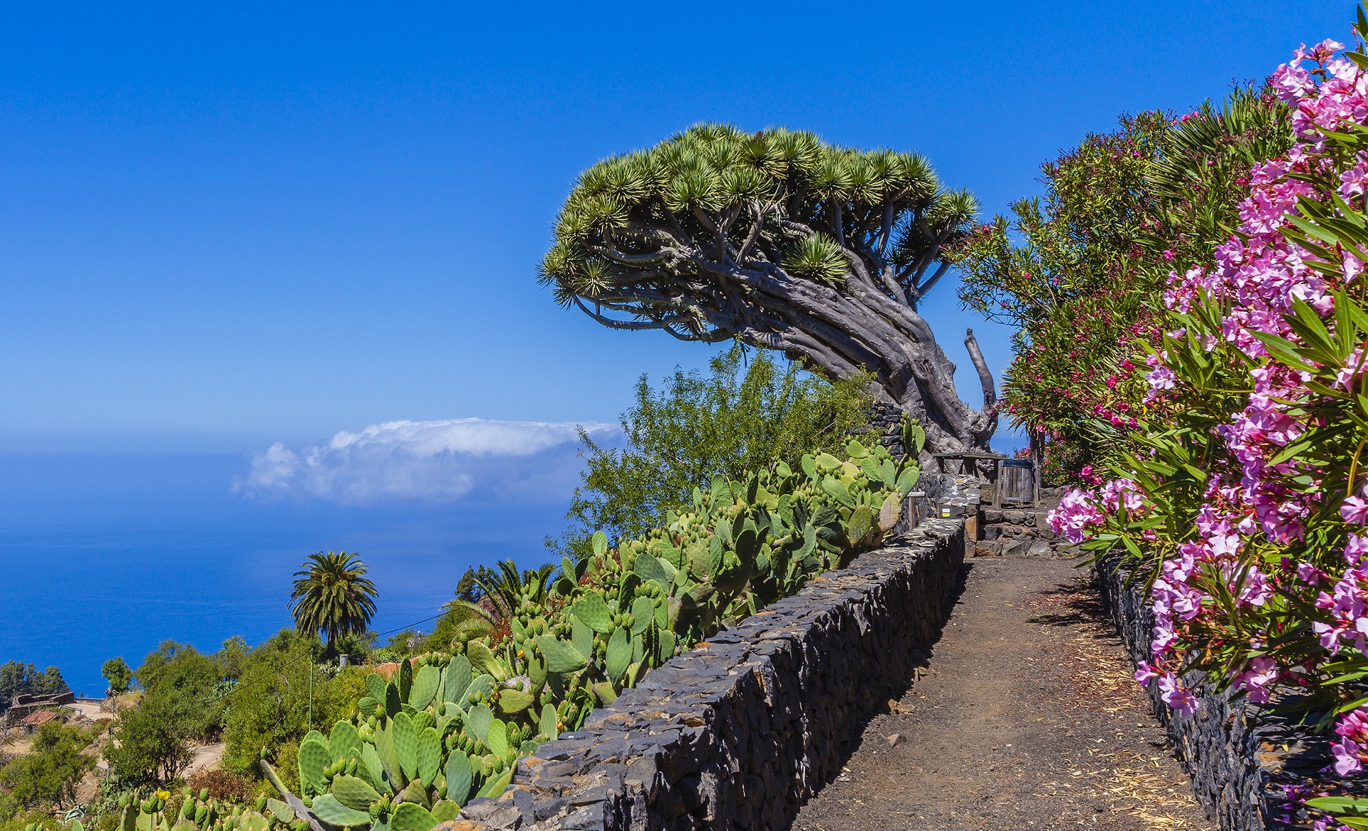 La Palma - Die Insel Des Ewigen Frühlings | Urlaubsguru.de