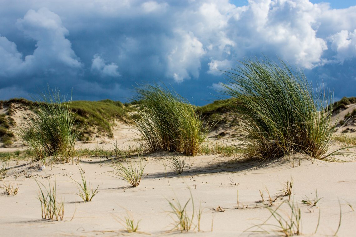 Deutsche Nordseeinseln Im Überblick: Sylt, Amrun U.a. | Urlaubsguru.de